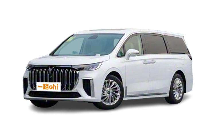 岚图梦想家京牌